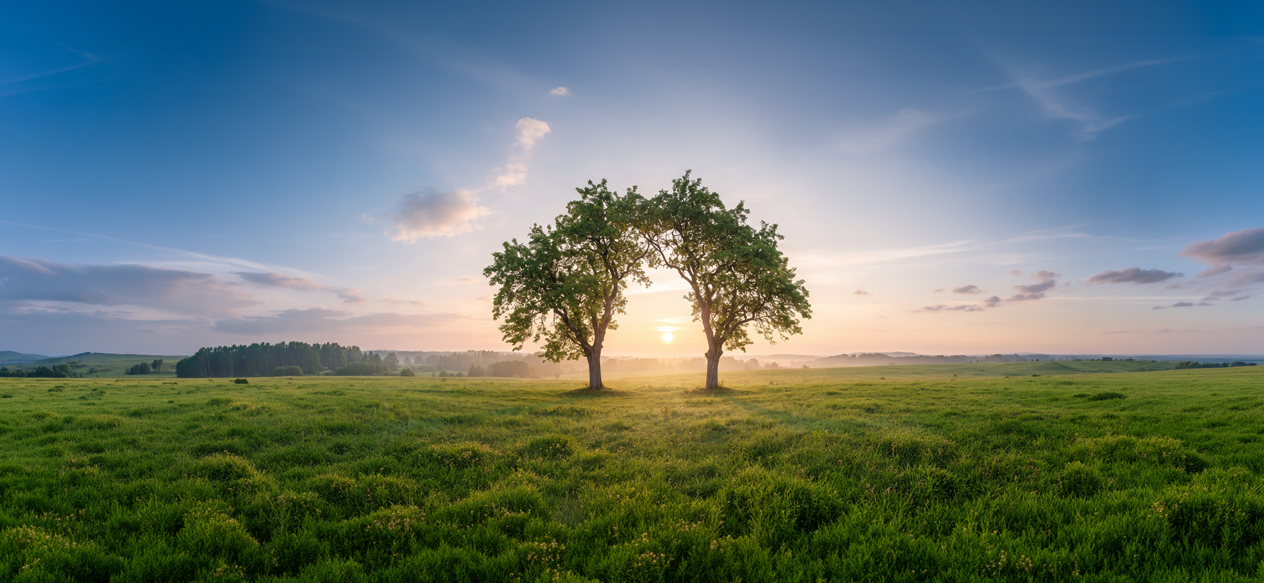 Two trees growing together representing partnership and connection