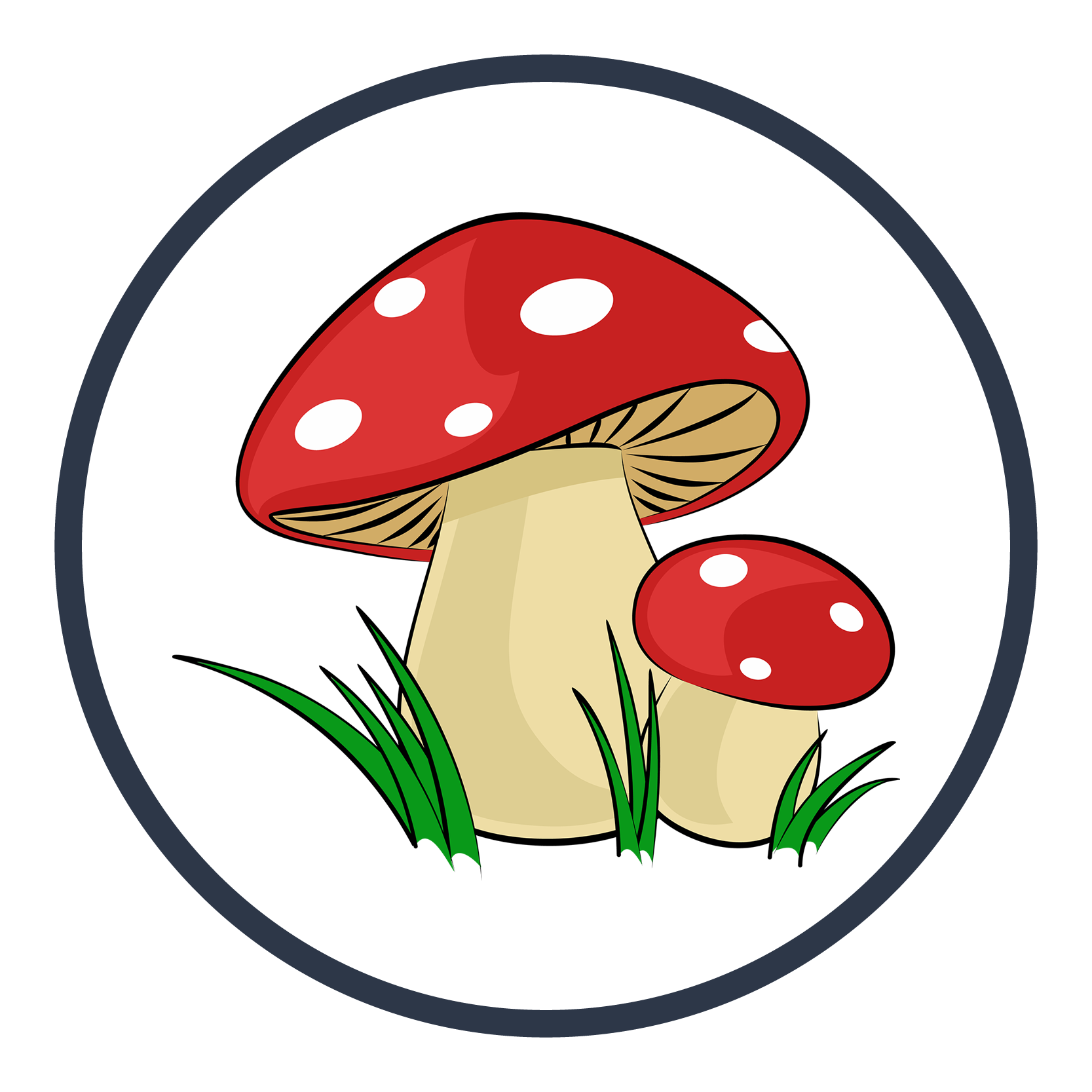 Icon representing Psychedelic Therapy services